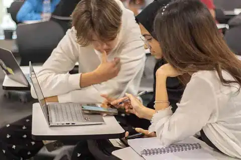 bachelor human resources management review