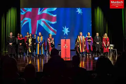 bachelor management tuition fees