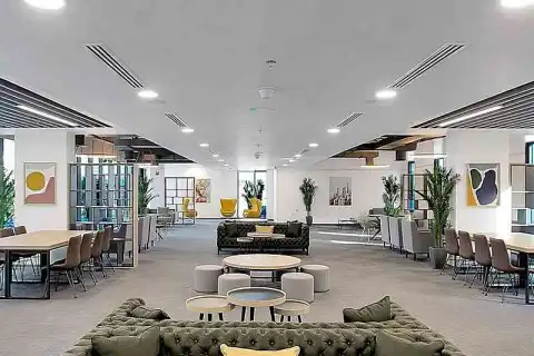 bachelor web communication dubai