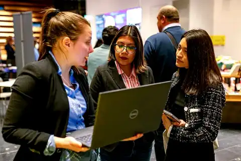 bachelor ethical hacking degree