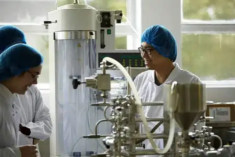 бакалавриат продукты питания здоровье данди
