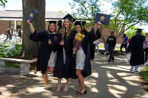 bachelor business administration management degree
