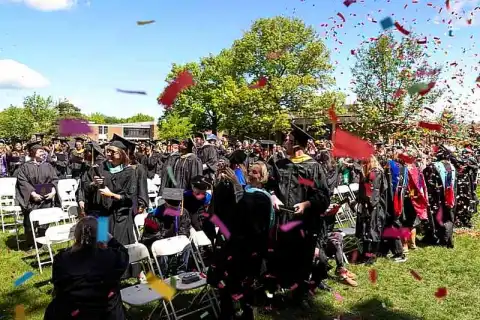 master business administration concentration project management online kansas city