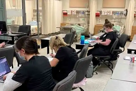 bachelor healthcare management online review