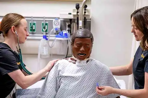accelerated bachelor nursing online review
