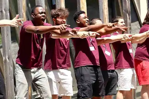 bachelor management burgundy school of business