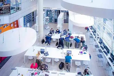 bachelor management admission