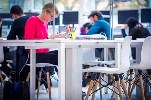 master science international business development tuition fees