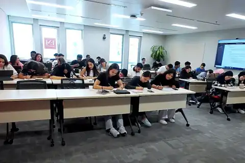 bachelor international management digital business admission