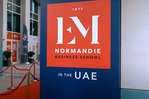 bachelor international management digital business uae