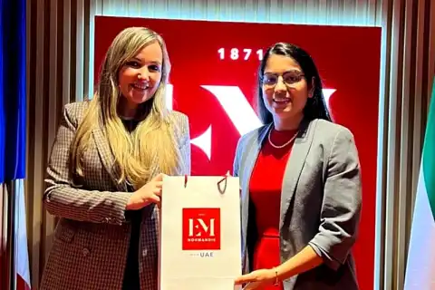 master international marketing business development em normandie dubai business school