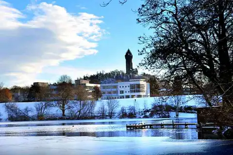 bachelor environmental science international foundation uk