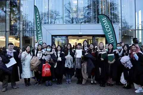 bachelor management international foundation review