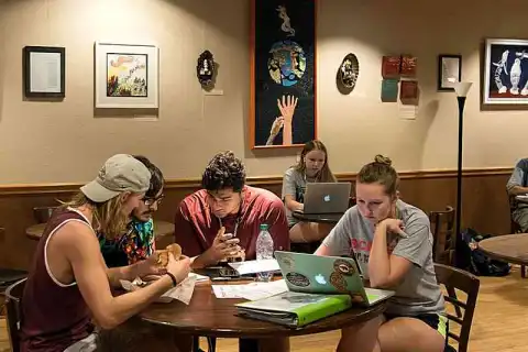 bachelor journalism review