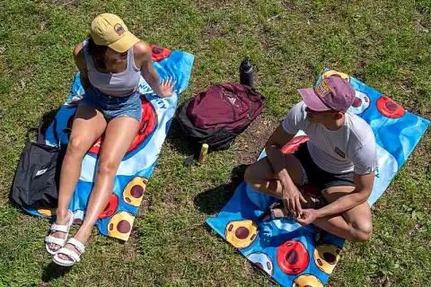 bachelor journalism apply for international students