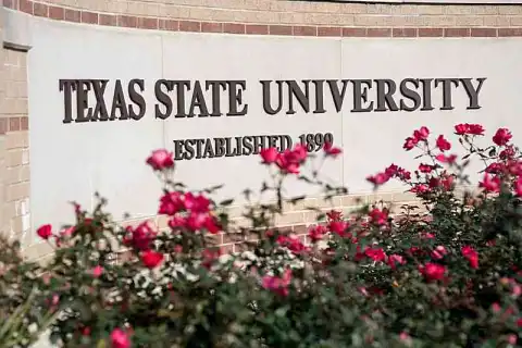 master data analytics information systems thesis review