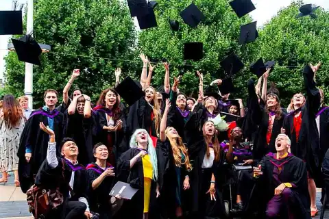 bachelor fashion design knit degree