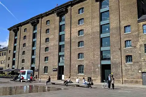 bachelor illustration review