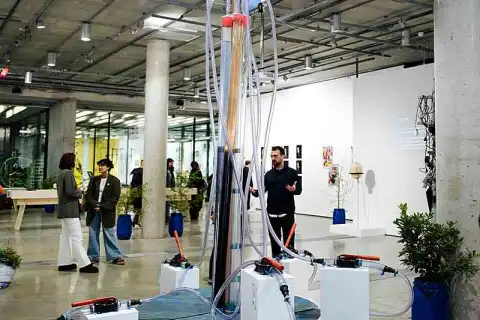 bachelor illustration degree