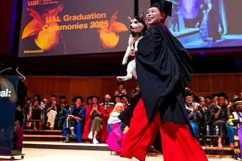 bachelor textile design admission