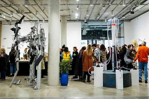 bachelor fashion design print admission