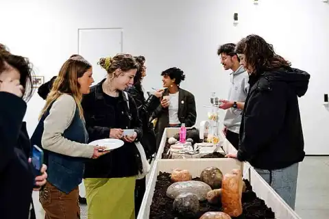 bachelor jewellery design admission