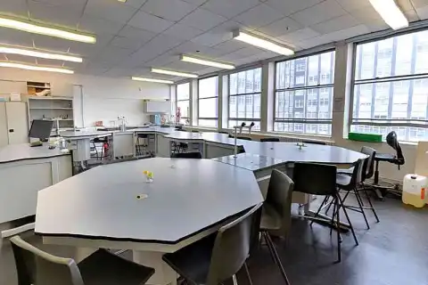 bachelor fashion management degree