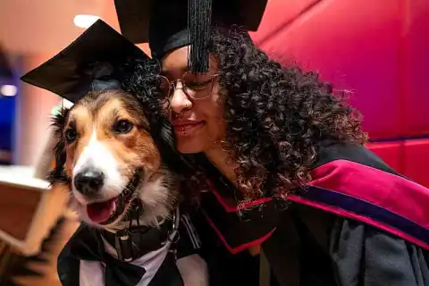 bachelor photography tuition fees