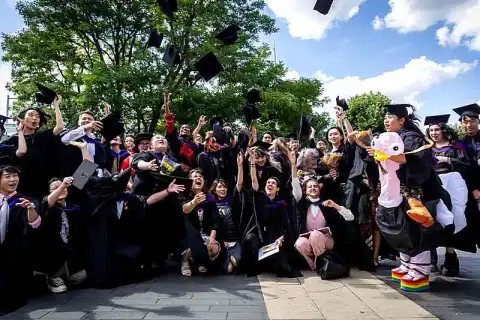 bachelor fashion contour admission