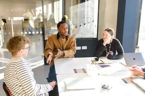 bachelor journalism review