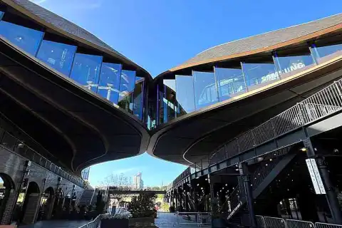 bachelor culture criticism curation degree