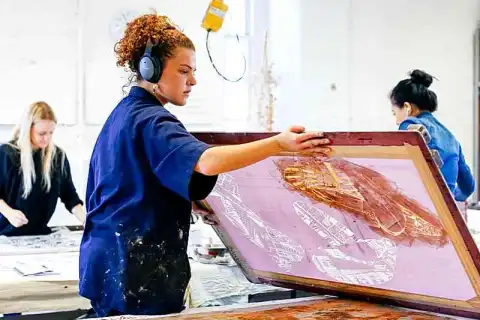 bachelor culture criticism curation tuition fees