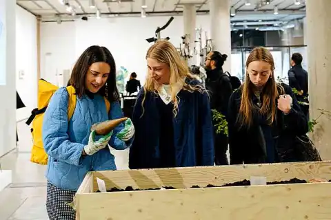 bachelor data science ai admission