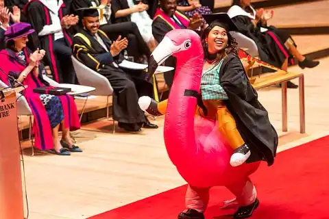 bachelor computer animation visual effects review