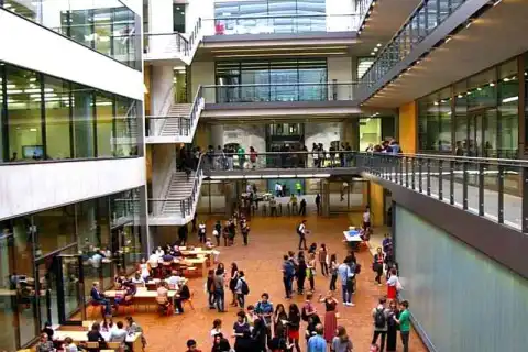 бакалавриат дизайн одежды коммуникация степень