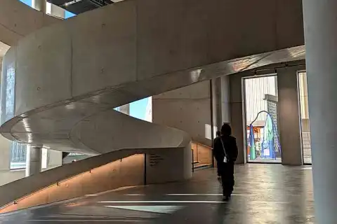 bachelor 3d effects performance fashion degree