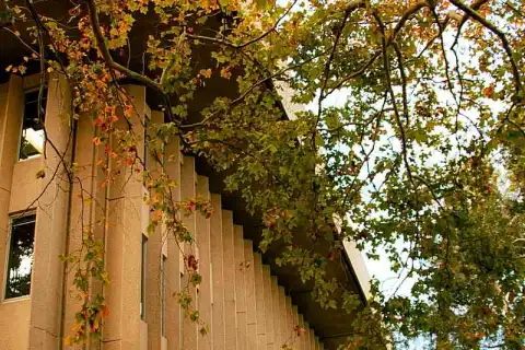 bachelor science botany admission