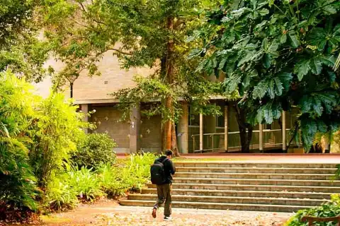 bachelor arts archaeology degree