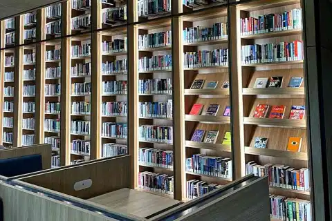 бакалавриат бухгалтерское дело перт