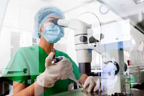bachelor biomedical science genetics review
