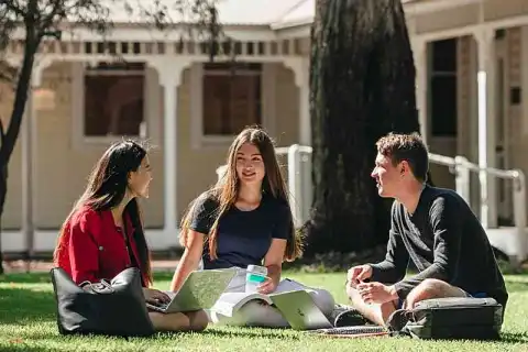 bachelor fine arts review