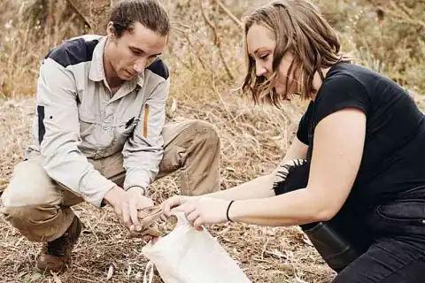 bachelor environmental science degree